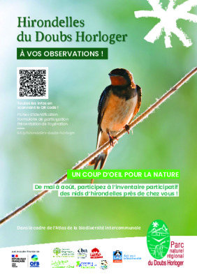 Flyer - inventaire participatif des hirondelles 