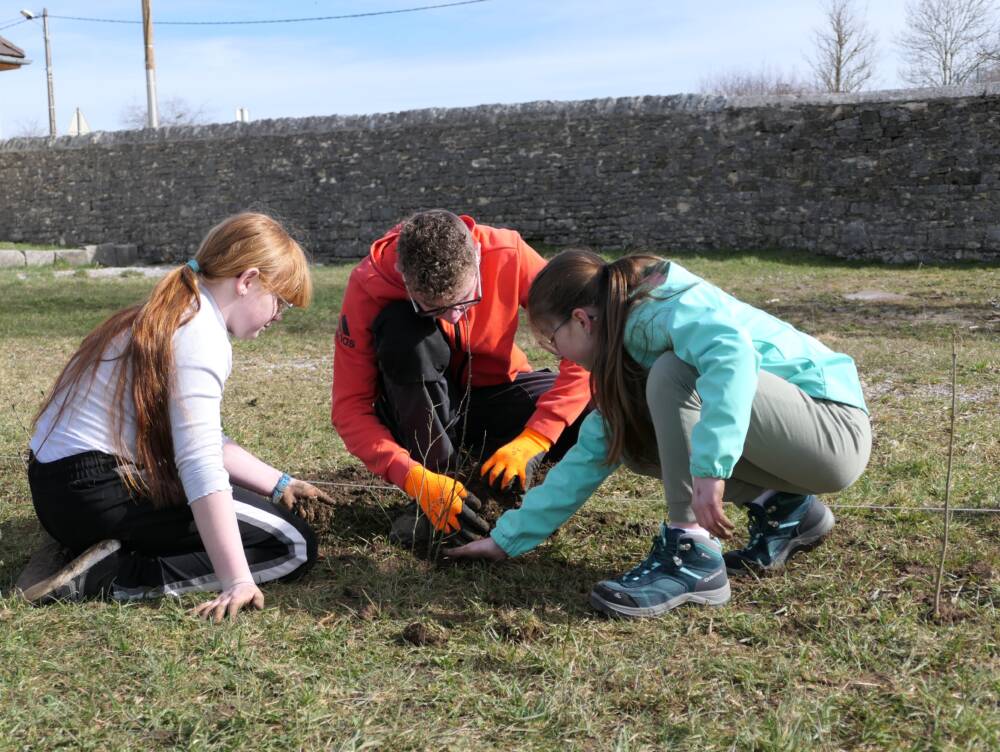 Plantation de haies - lycée St Joseph, Les Fontenelles / PNR du Doubs Horloger