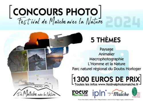 Concours photo du festival 