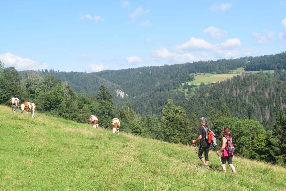 DSC 0506 - Parc Naturel Régional du Doubs Horloger