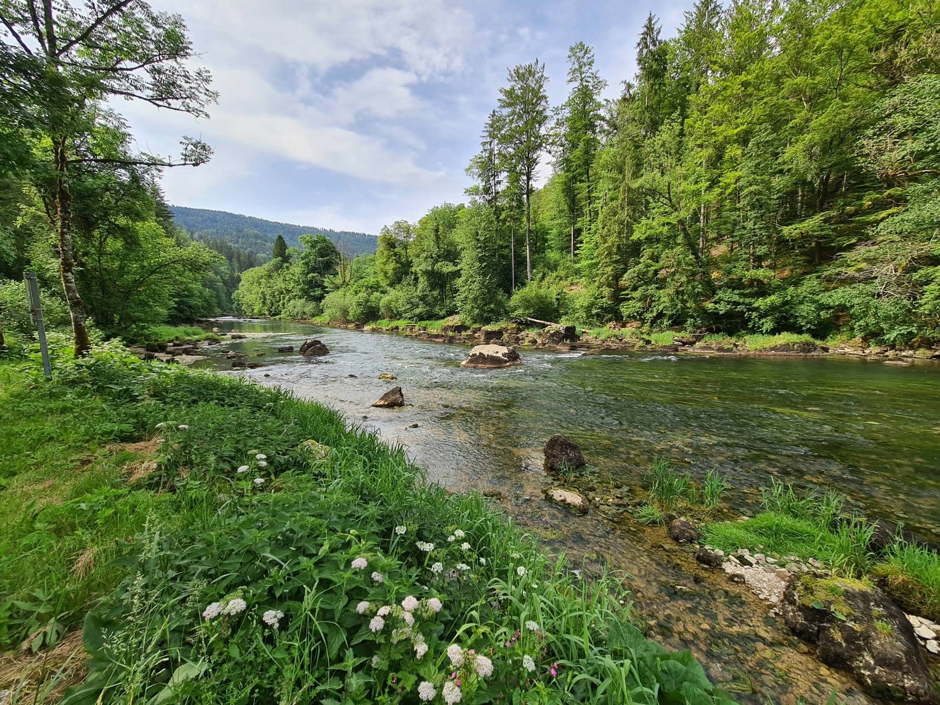 Milieux naturels Adrien Ducouloux - Parc Naturel Régional du Doubs Horloger