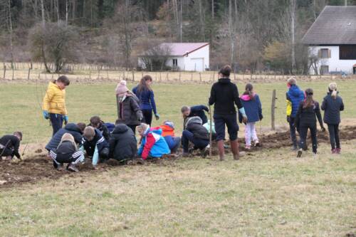 Plantation de haies - élèves Les Ecorces / PNR du Doubs Horloger