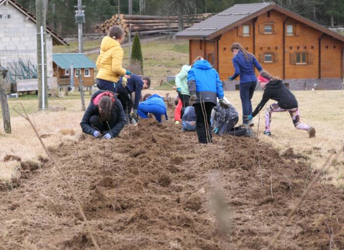 Plantation de haies - élèves Les Ecorces / PNR du Doubs Horloger