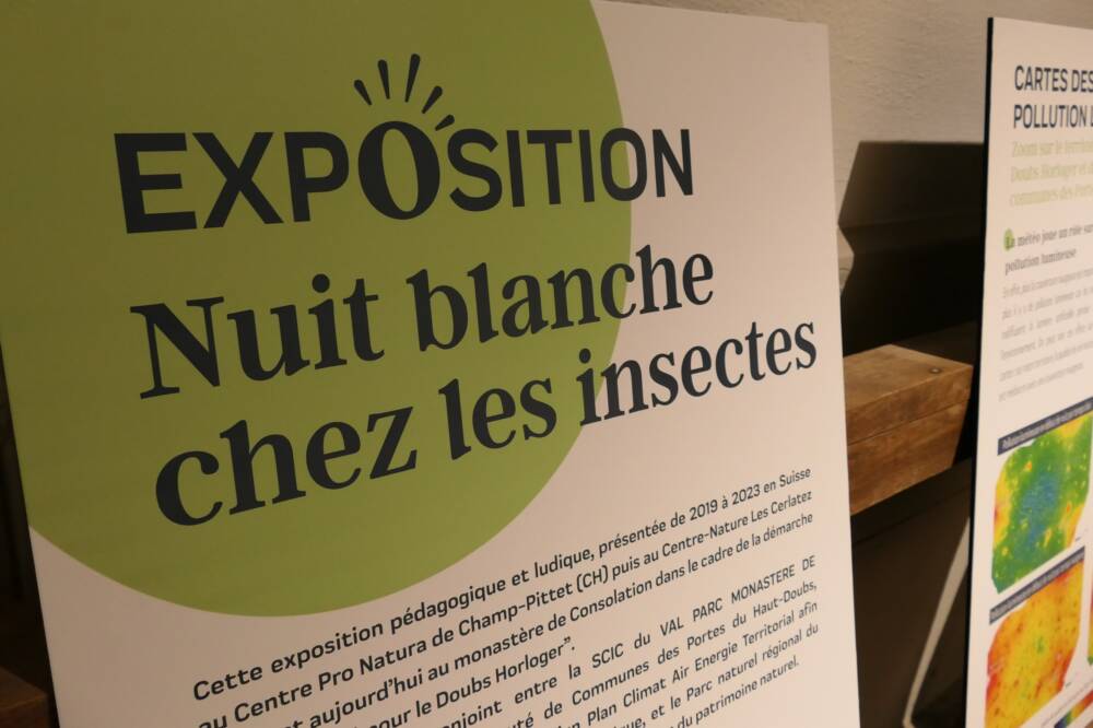 Exposition 