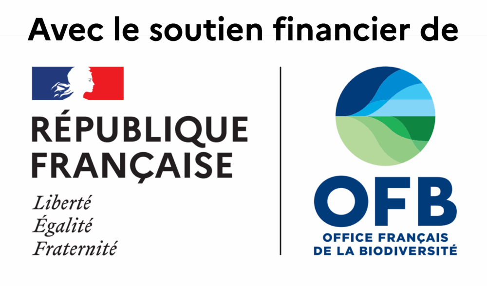 logo OFB