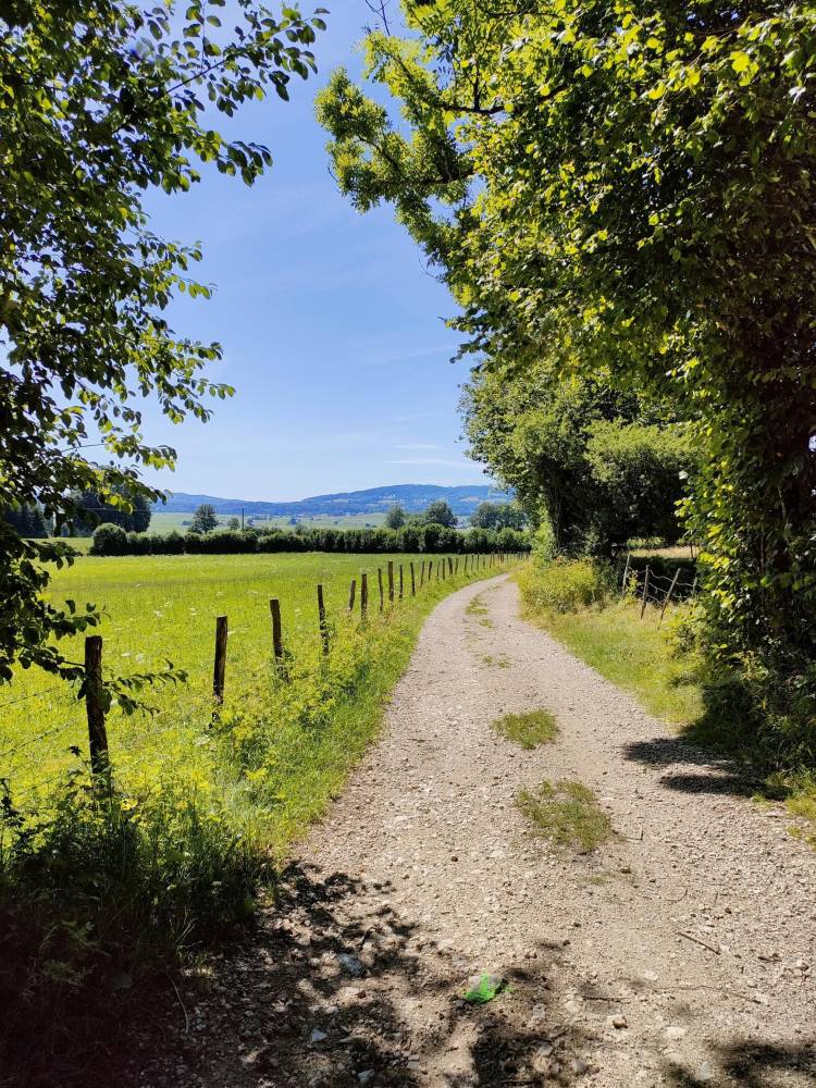 Sur les chemins de Belfays