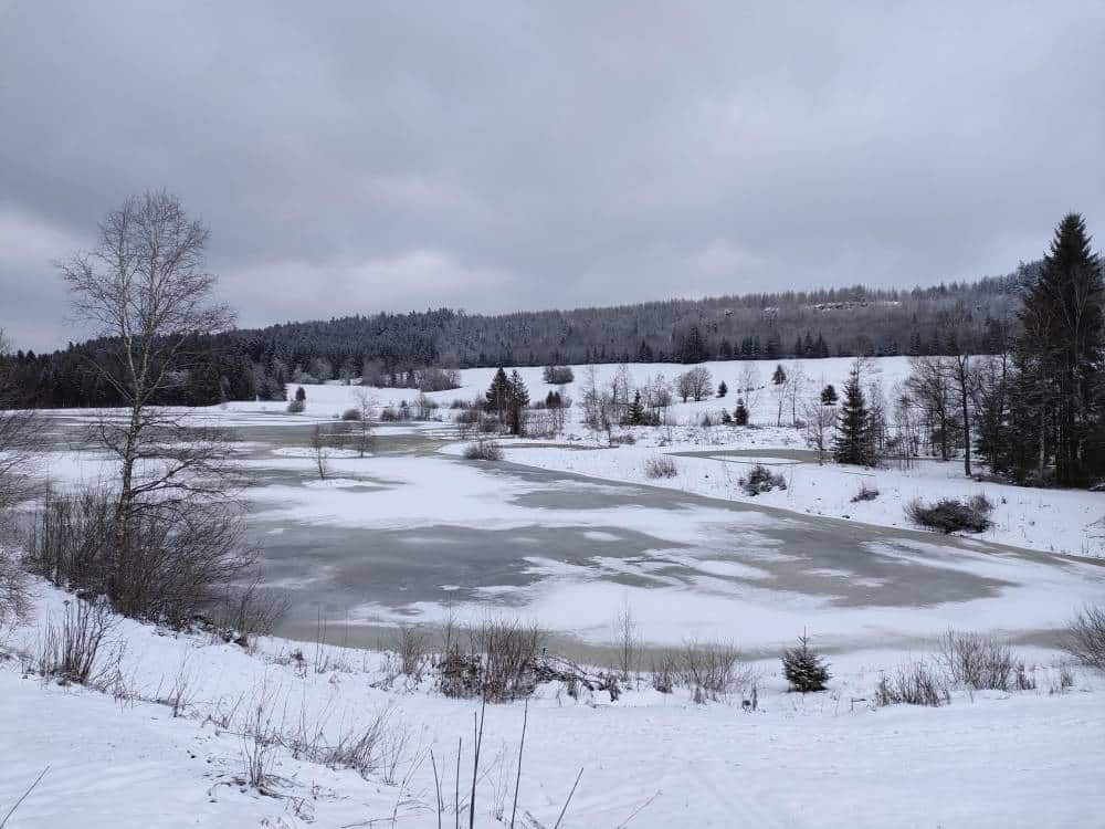 Paysage enneigé à Bonnétage