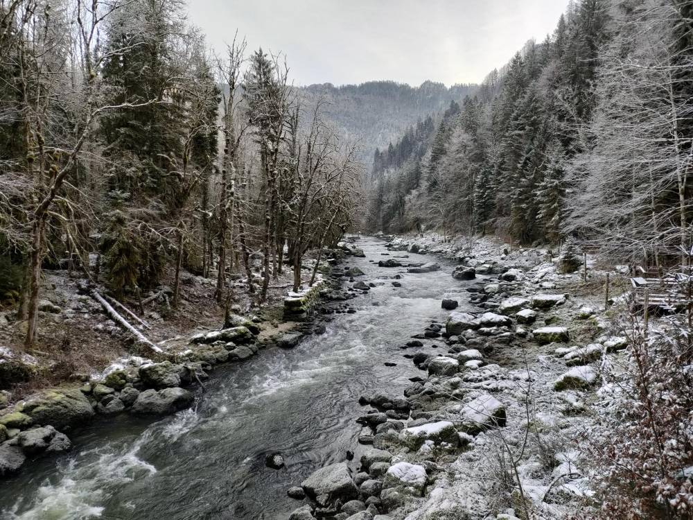 Doubs franco-suisse Goumois