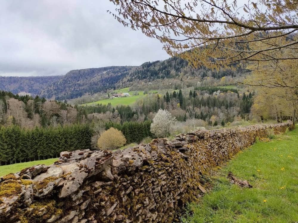 Mur de pierres sèches Laval-le-Prieuré