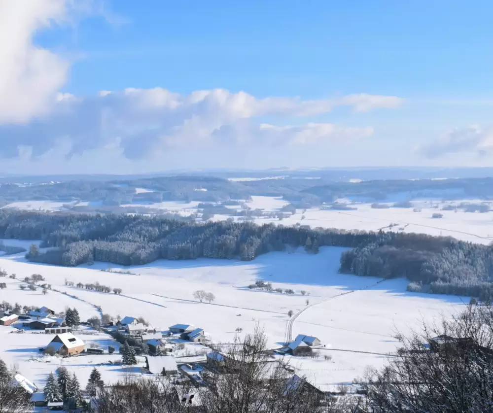Neige sur Laviron