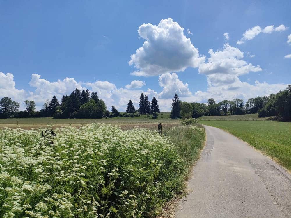 Sur la route de Longevelle