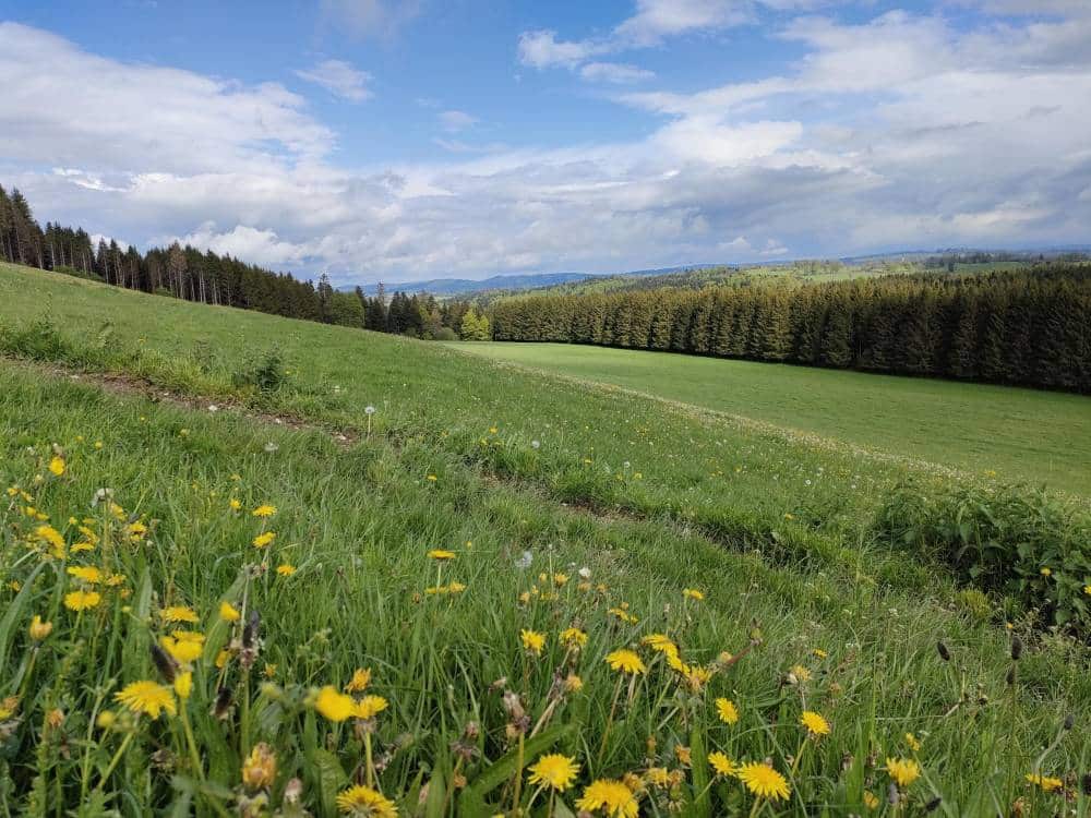 Paysages verts campagne de Maîche