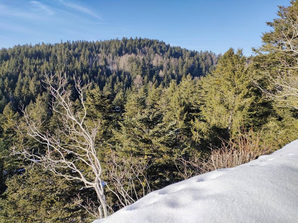 Vue de la Roche du Ruan