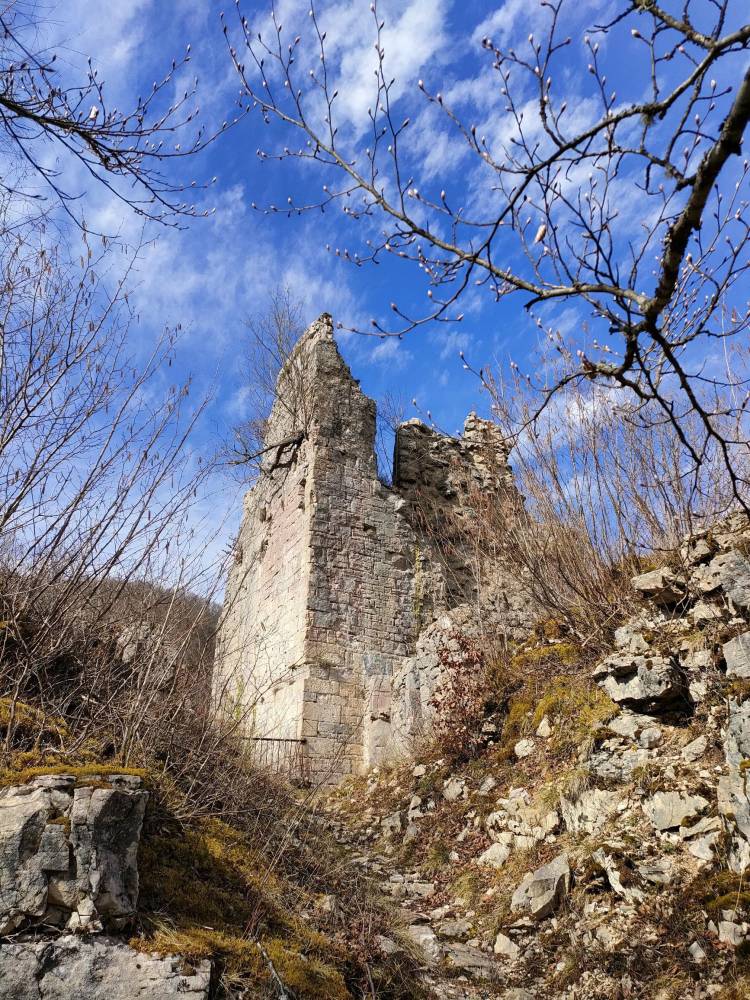 Vestiges du Château de Montjoie