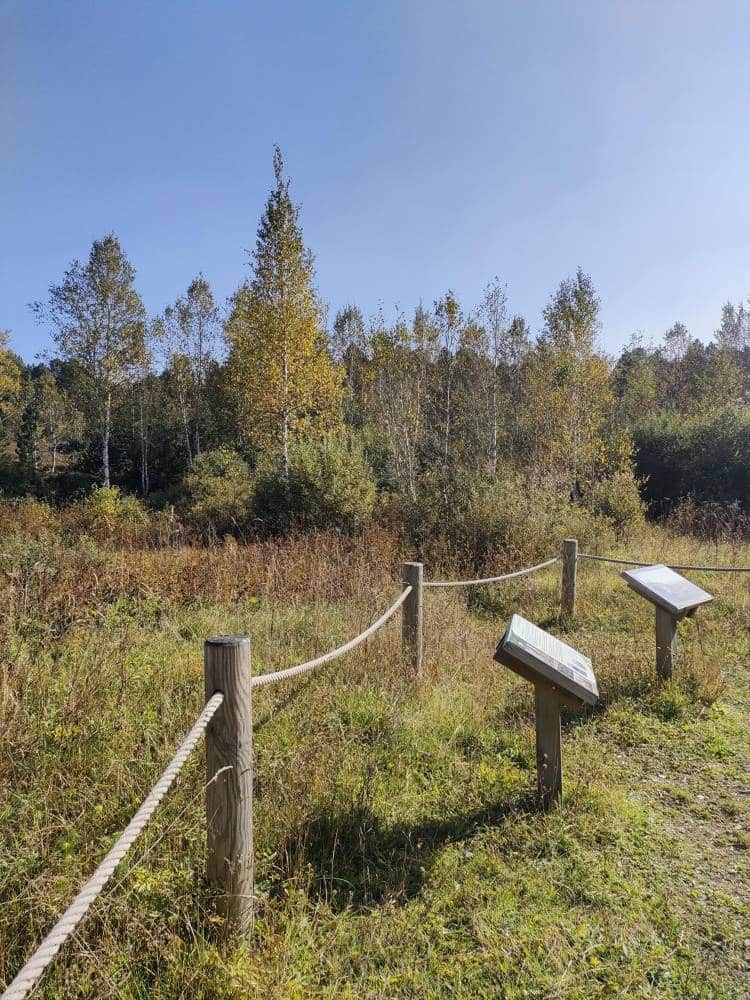 Sur le sentier pédestre Isenbart