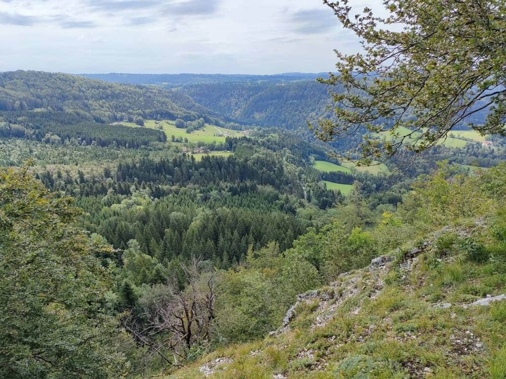 Vue plongeante sur les forêts