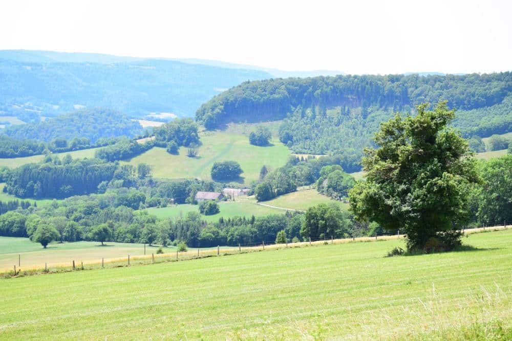 Fleurey