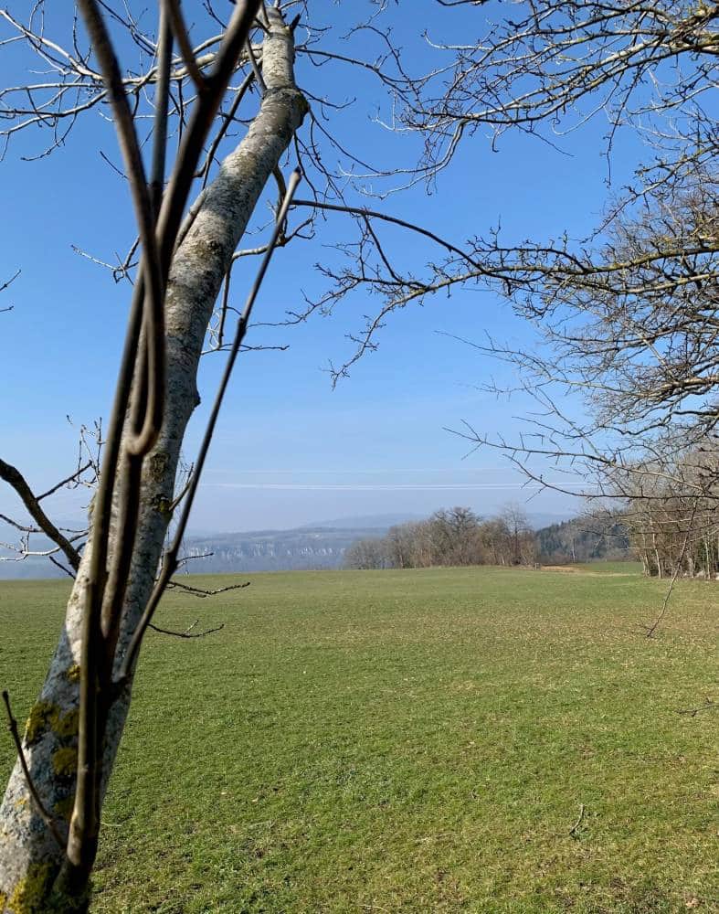 Vue depuis le chemin du belvédère Sous le Pré