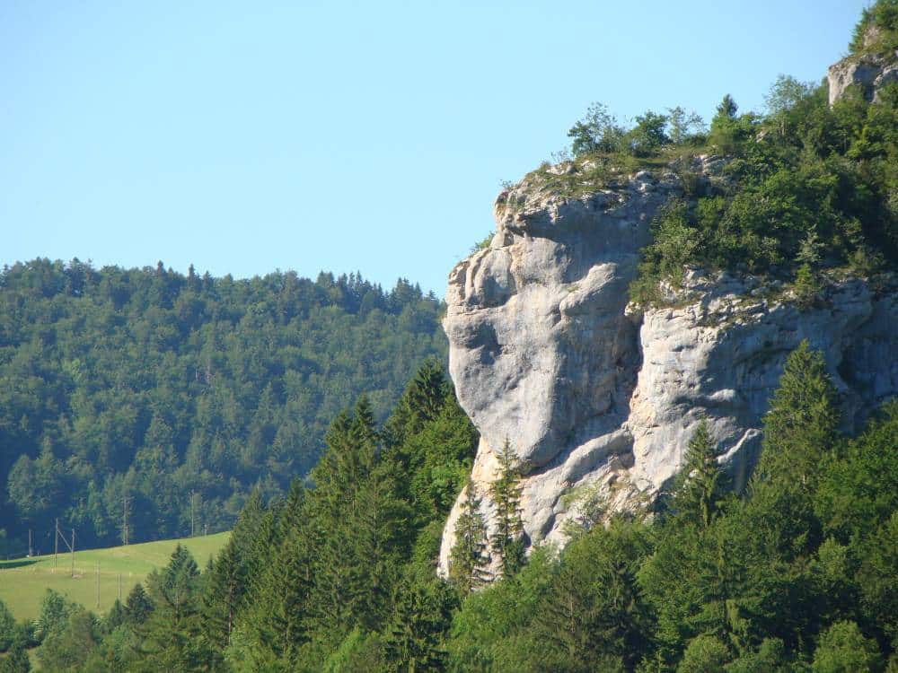 Le rocher à tête de singe Goumois