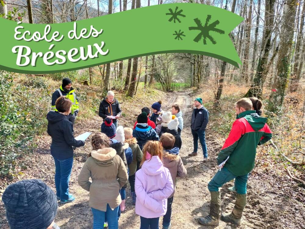 Forêt pédagogique des Bréseux