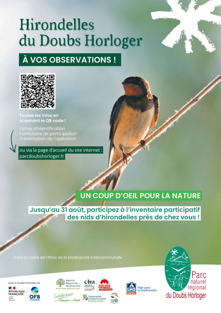 affiche_inventaire_hirondelles2026