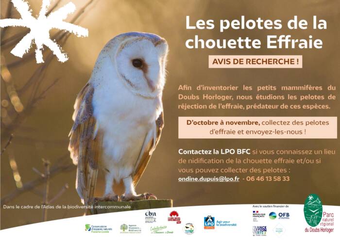 Affiche ABI collecte pelotes LPO BFC 003 page 0001 - Parc Naturel Régional du Doubs Horloger