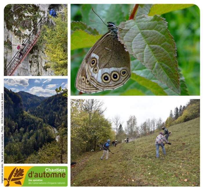 chantier automne charquemont cen franche comte novembre2022 2 - Parc Naturel Régional du Doubs Horloger